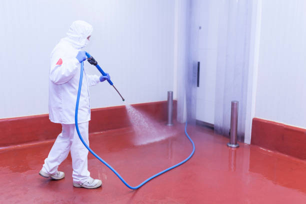 Best Post-Construction Pressure Washing  in Lmerton, PA